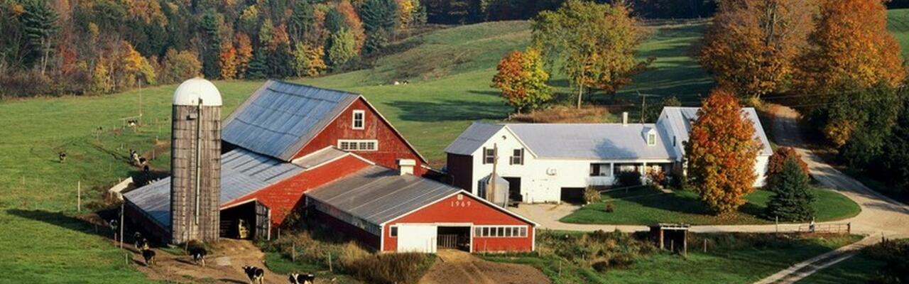 Фермерам разрешили строить дома на сельхозземле
